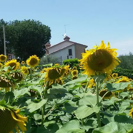 Principerto