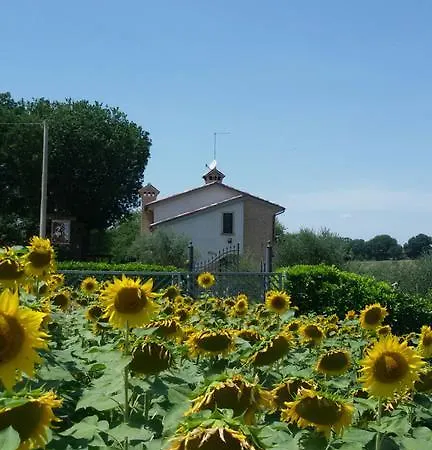 Principerto